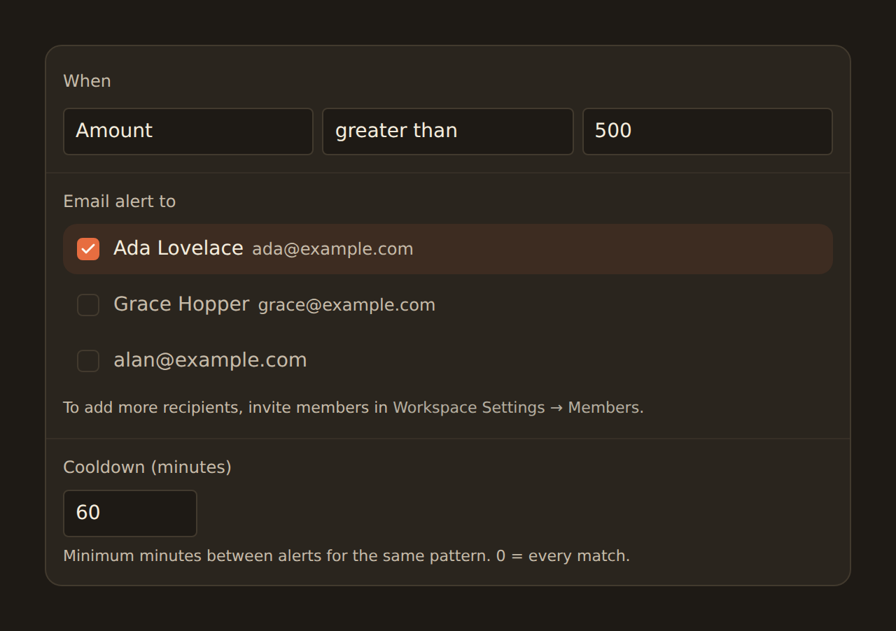 The Alert configuration form: a When condition reading Amount greater than 500, an Email alert to section listing workspace members Ada Lovelace, Grace Hopper, and a third member as checkboxes with Ada selected, and a Cooldown (minutes) field set to 60 with the note that 0 means every match.
